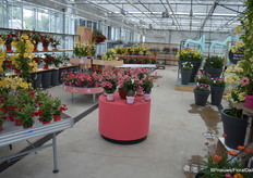 Overzicht van de proef.